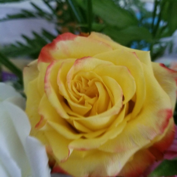 Meet your Posher, Cori - Picture 1 of 1